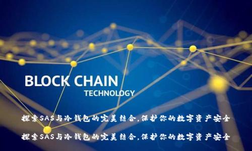 探索SAS与冷钱包的完美结合，保护你的数字资产安全

探索SAS与冷钱包的完美结合，保护你的数字资产安全