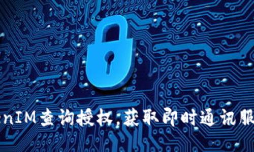 如何进行TokenIM查询授权，获取即时通讯服务的最大潜力