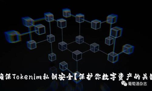 如何确保Tokenim私钥安全？保护你数字资产的关键策略