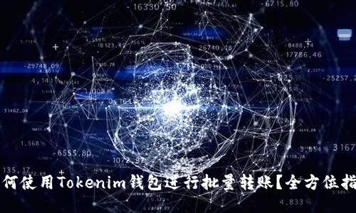 如何使用Tokenim钱包进行批量转账？全方位指南