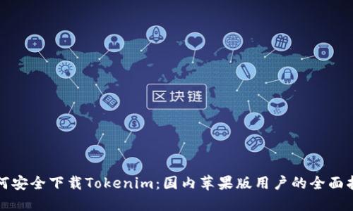如何安全下载Tokenim：国内苹果版用户的全面指南