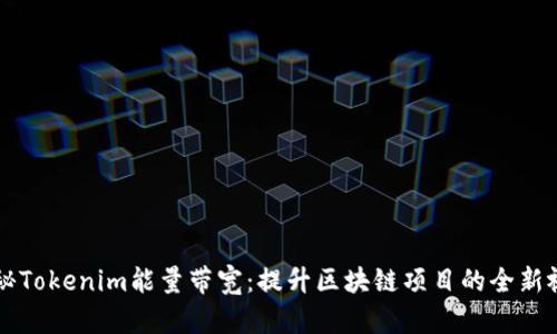 揭秘Tokenim能量带宽：提升区块链项目的全新视角