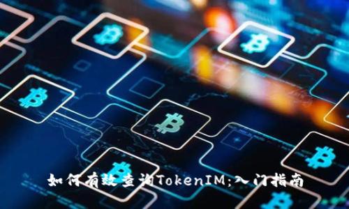 如何有效查询TokenIM：入门指南