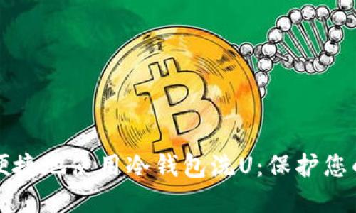 如何安全便捷地使用冷钱包洗U：保护您的数字资产