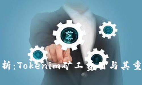 详细解析：Tokenim矿工费用与其重要影响