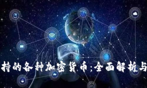 冷钱包支持的各种加密货币：全面解析与实用指南