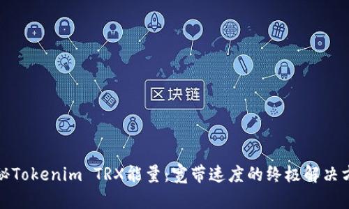 探秘Tokenim TRX能量：宽带速度的终极解决方案