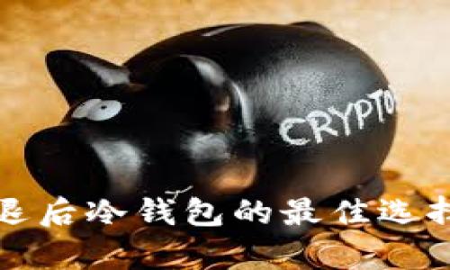 全面解析清退后冷钱包的最佳选择与使用技巧