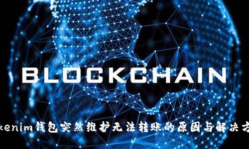 Tokenim钱包突然维护无法转账的原因与解决方案