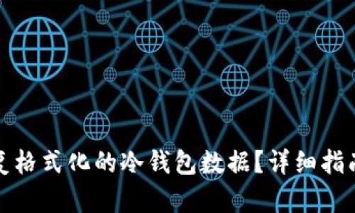 如何恢复格式化的冷钱包数据？详细指南与技巧