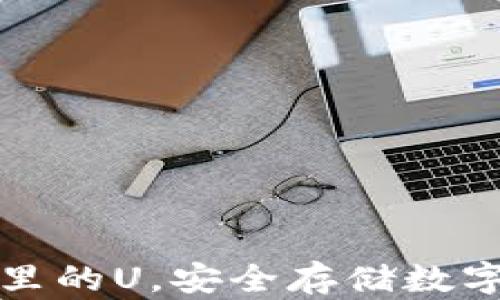 
深入了解冷钱包里的U，安全存储数字资产的最佳选择