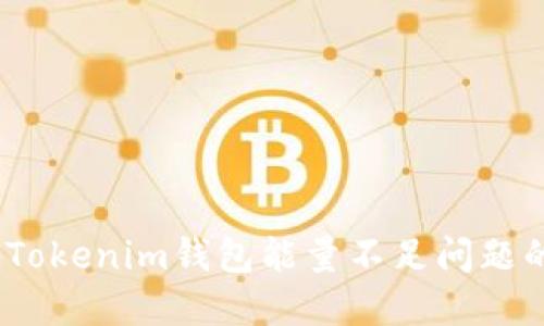 题目：解决Tokenim钱包能量不足问题的实用技巧