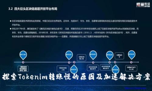 探索Tokenim转账慢的原因及加速解决方案