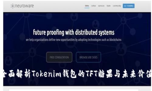 全面解析Tokenim钱包的TFT糖果与未来价值