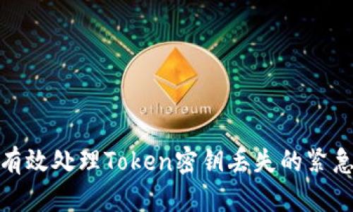 如何有效处理Token密钥丢失的紧急情况