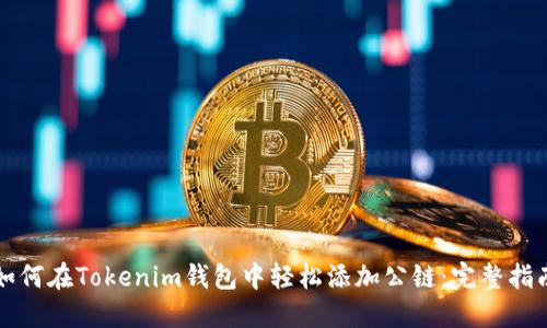 如何在Tokenim钱包中轻松添加公链：完整指南