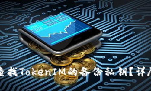 如何查找TokenIM的备份私钥？详尽指南