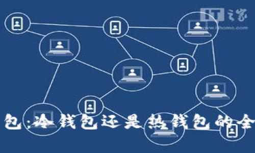 极客钱包：冷钱包还是热钱包的全面解析