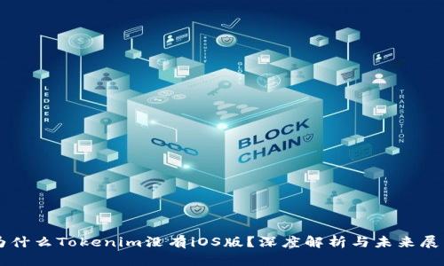 为什么Tokenim没有iOS版？深度解析与未来展望