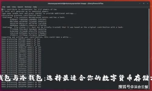 轻钱包与冷钱包：选择最适合你的数字货币存储方案