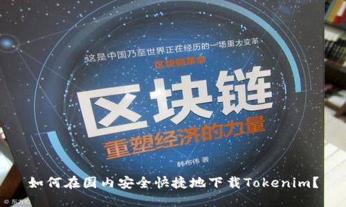 如何在国内安全快捷地下载Tokenim？
