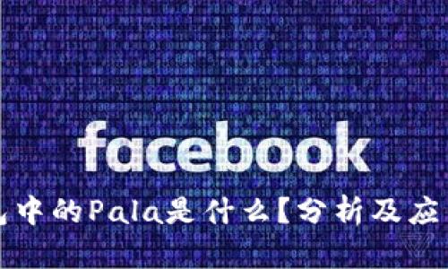 冷钱包中的Pala是什么？分析及应用详解
