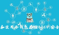 如何选择和使用冷钱包存储BTCV：安全存储指南