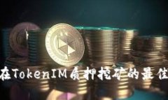 DPL在TokenIM质押挖矿的最佳指南