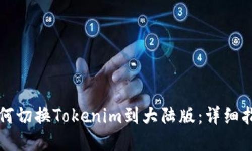 如何切换Tokenim到大陆版：详细指南