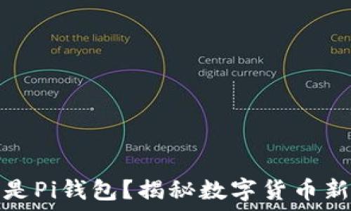   
什么是Pi钱包？揭秘数字货币新趋势