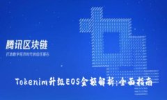 Tokenim升级EOS金额解析：全面指南