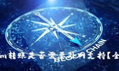 Tokenim转账是否需要外网支持？全面解析
