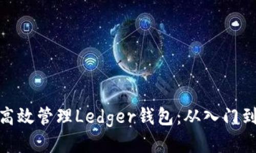 如何高效管理Ledger钱包：从入门到精通