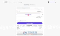 如何使用Ledger冷钱包安全存储USDT：全面指南