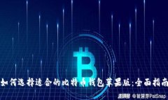 如何选择适合的比特币钱包苹果版：全面指南