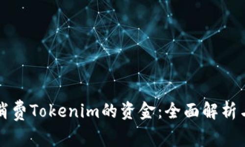 如何有效消费Tokenim的资金：全面解析与实用指南