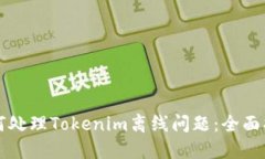 如何处理Tokenim离线问题：全面指南