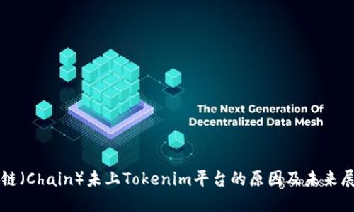 芯链（Chain）未上Tokenim平台的原因及未来展望