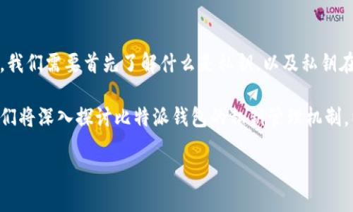 介绍

比特派钱包是一种流行的加密货币钱包，旨在为用户提供安全、便捷的数字资产管理体验。在讨论比特派钱包是否有私钥之前，我们需要首先了解什么是私钥，以及私钥在加密货币交易中的重要性。私钥是用户对其加密资产的唯一控制权证明，失去私钥意味着用户将无法访问和使用其数字资产。

比特派钱包的设计理念是以用户的私钥安全为核心，而其钱包结构也帮助用户更好地管理和保管自己的数字资产。接下来，我们将深入探讨比特派钱包的私钥管理机制，以及它如何确保用户的资产安全。

比特派钱包的私钥安全性解析