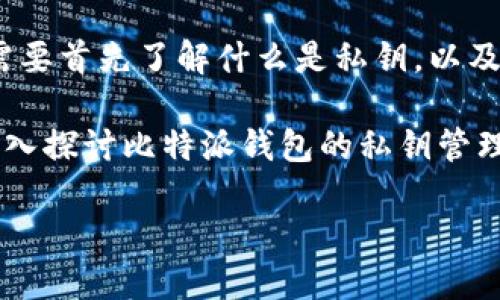 介绍

比特派钱包是一种流行的加密货币钱包，旨在为用户提供安全、便捷的数字资产管理体验。在讨论比特派钱包是否有私钥之前，我们需要首先了解什么是私钥，以及私钥在加密货币交易中的重要性。私钥是用户对其加密资产的唯一控制权证明，失去私钥意味着用户将无法访问和使用其数字资产。

比特派钱包的设计理念是以用户的私钥安全为核心，而其钱包结构也帮助用户更好地管理和保管自己的数字资产。接下来，我们将深入探讨比特派钱包的私钥管理机制，以及它如何确保用户的资产安全。

比特派钱包的私钥安全性解析