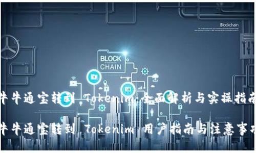 牛牛通宝转到 Tokenim：全面解析与实操指南

牛牛通宝转到 Tokenim 用户指南与注意事项