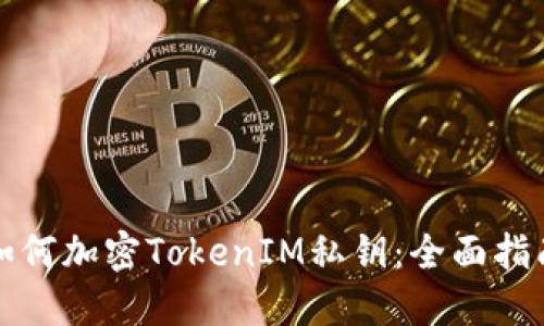 如何加密TokenIM私钥：全面指南