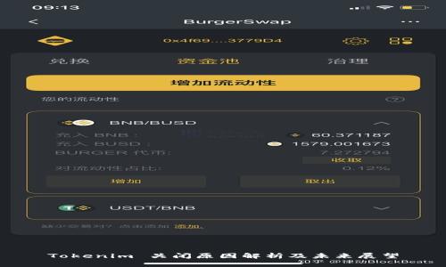 Tokenim 关闭原因解析及未来展望