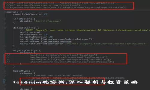 Tokenim观察期：深入解析与投资策略