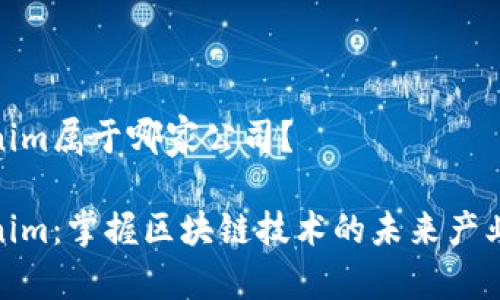 Tokenim属于哪家公司？

Tokenim：掌握区块链技术的未来产业先锋