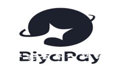 如何在Tokenim中安全导入私钥并管理加密资产