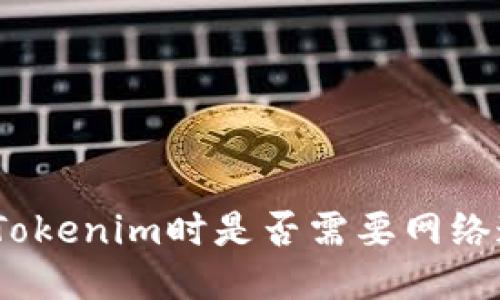 使用Tokenim时是否需要网络连接？